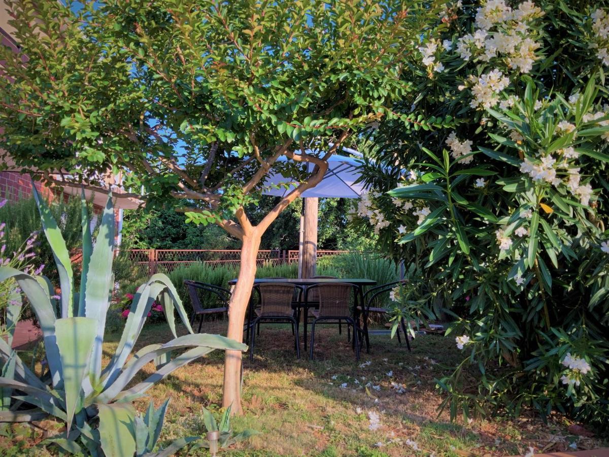 Apartment Agava Istria - Family Vacation Rental With Free Parking, Garden, Wifi Ližnjan Exteriér fotografie