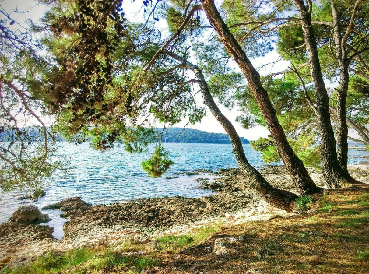 Apartment Agava Istria - Family Vacation Rental With Free Parking, Garden, Wifi Ližnjan Exteriér fotografie