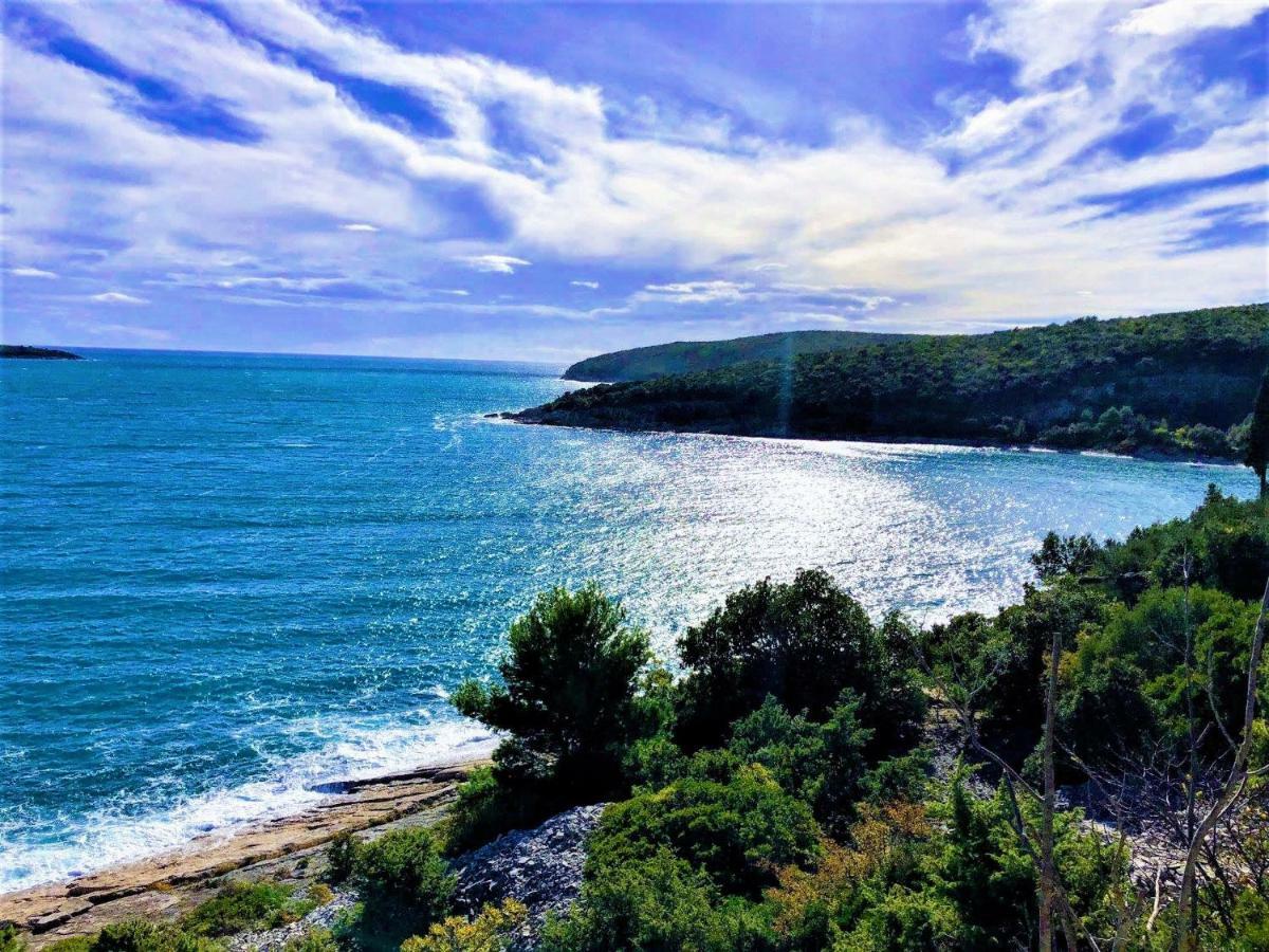 Apartment Agava Istria - Family Vacation Rental With Free Parking, Garden, Wifi Ližnjan Exteriér fotografie